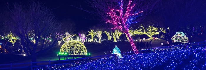 Granpal Illumination