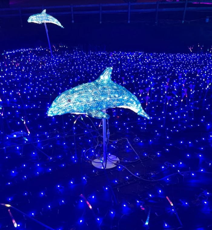 Granpal Illumination