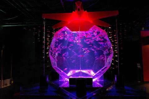 アートアクアリウム美術館 GINZA　金魚のモチーフ